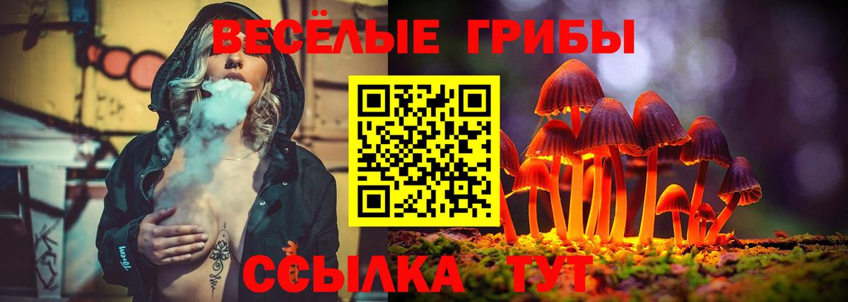 Марихуана  ГАШ  Саров  Codein  МЕТ  Экстази  Лсд 25  Вход с VPN  Кокаин  Мефедрон  Меф МЯУ МЯУ  